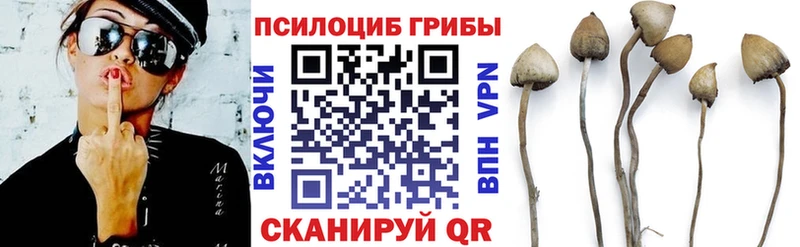 Купить закладки  Ивдель  Псилоцибиновые грибы Psilocybine cubensis 